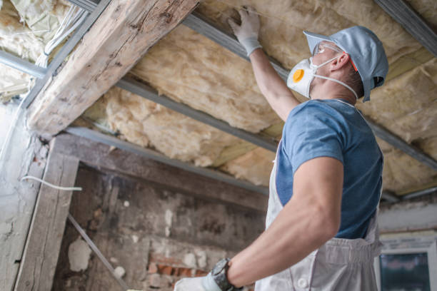 Best Geographic-Specific Insulation Services in Sweetwater, FL
